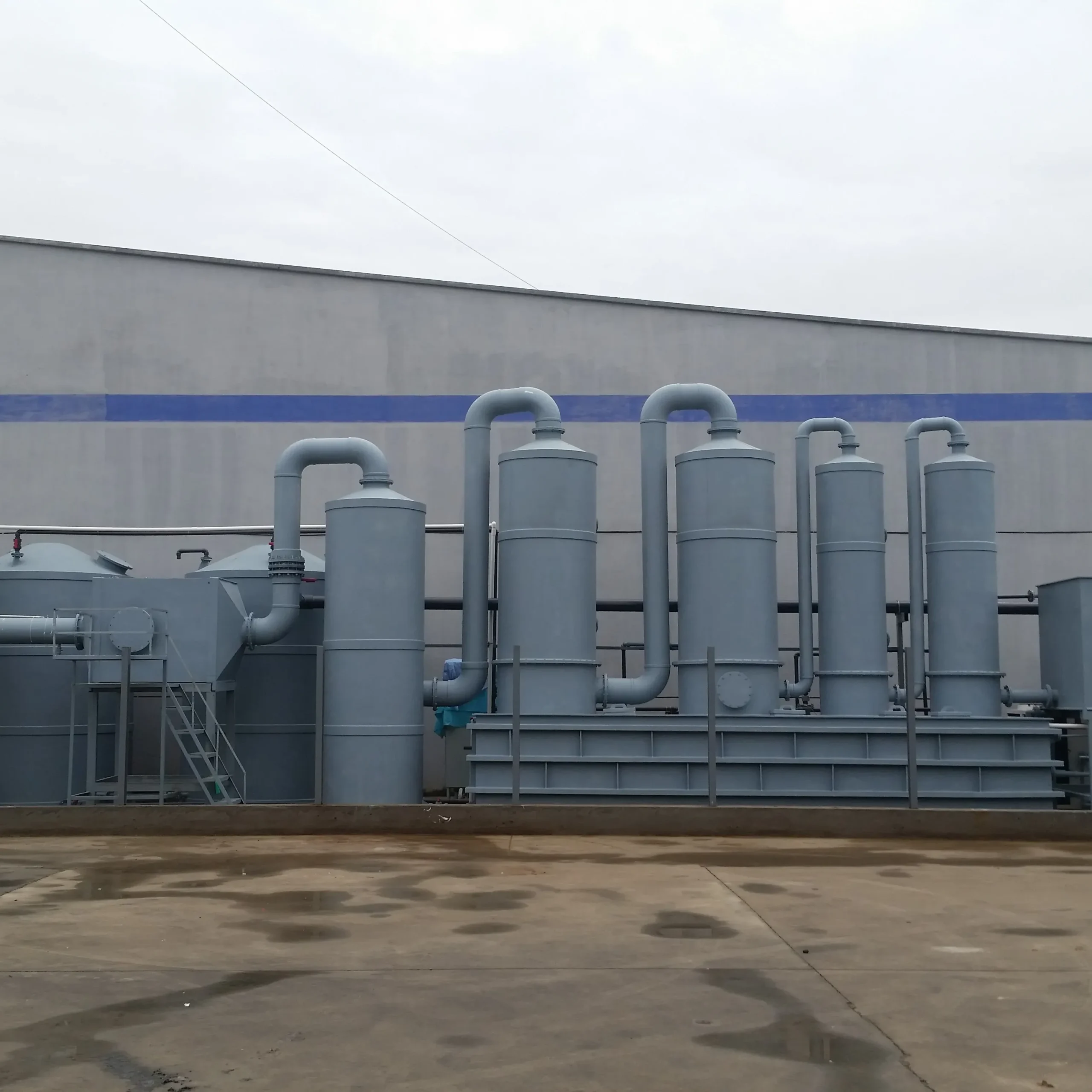 Eo Scrubber - Image 3